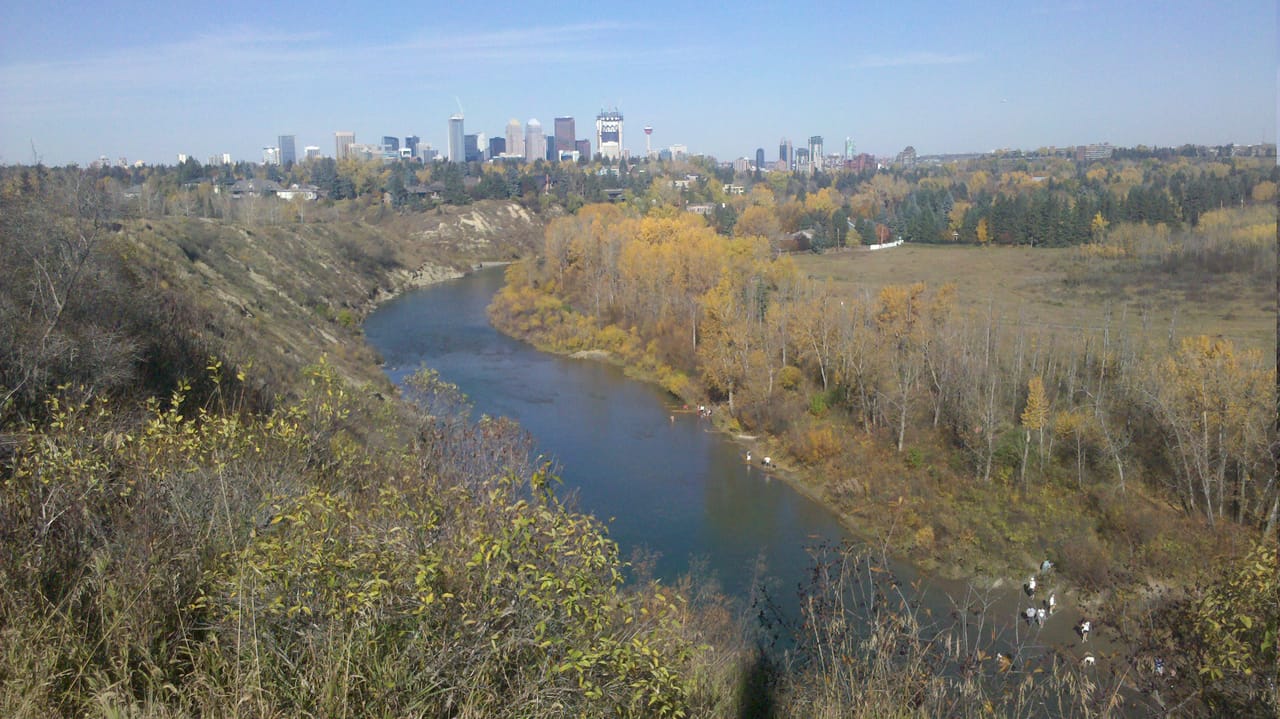 Elbow Park homes for sale