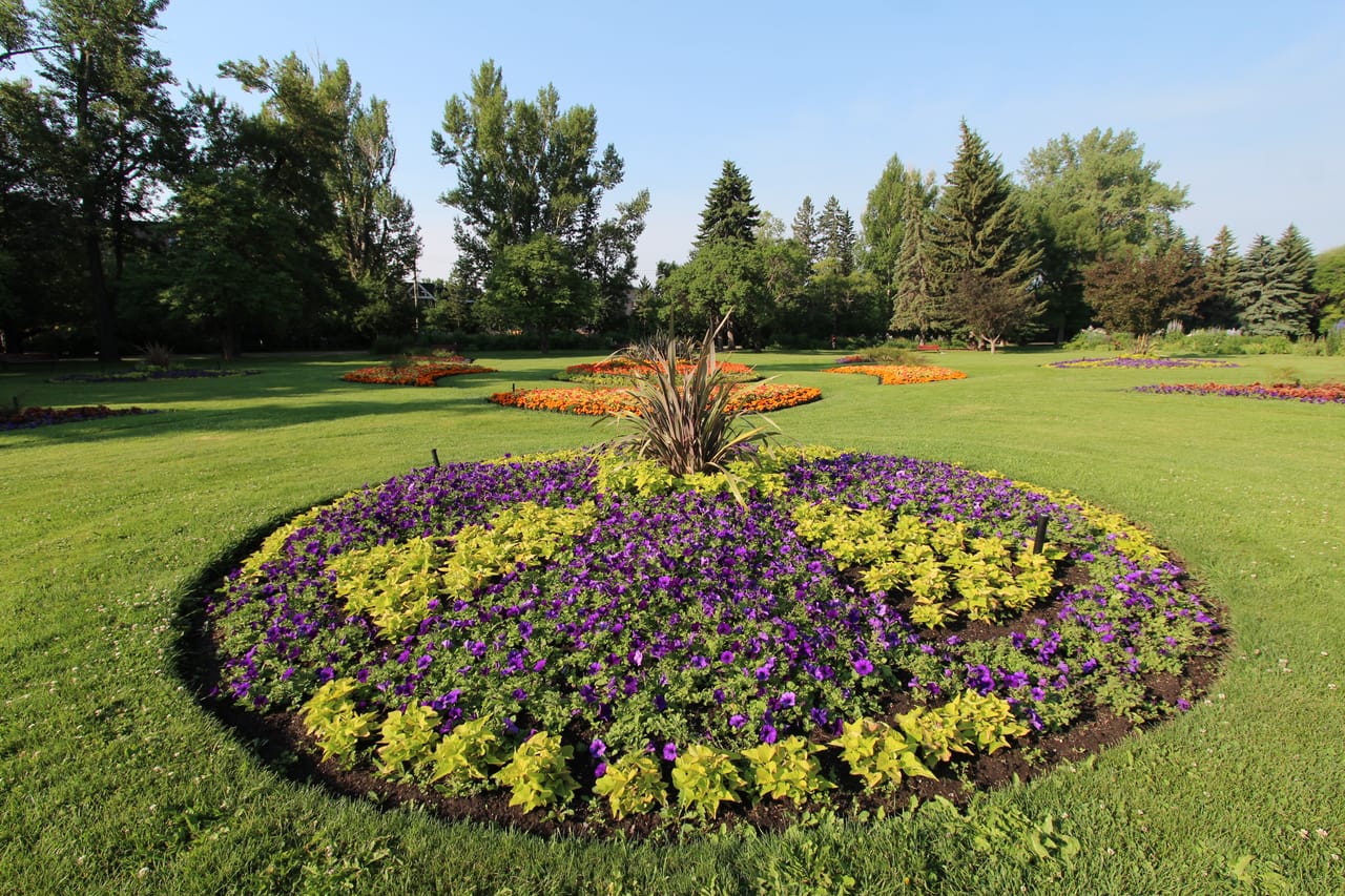 Hillhurst homes for sale