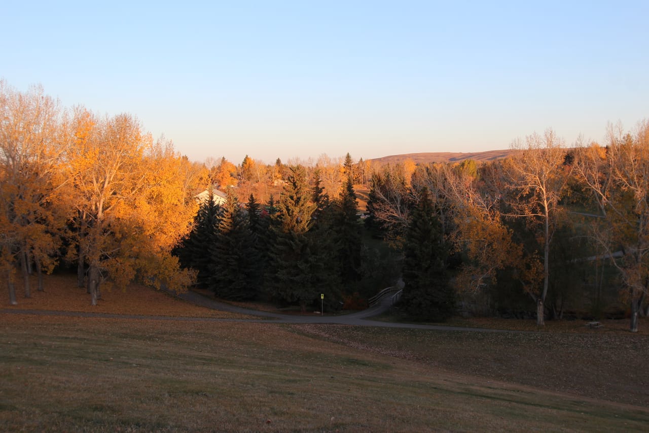 Mount Pleasant homes for sale